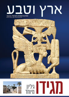 Eretz Megiddo Cover Web