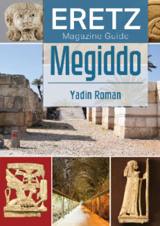 MEGIDDO Guide