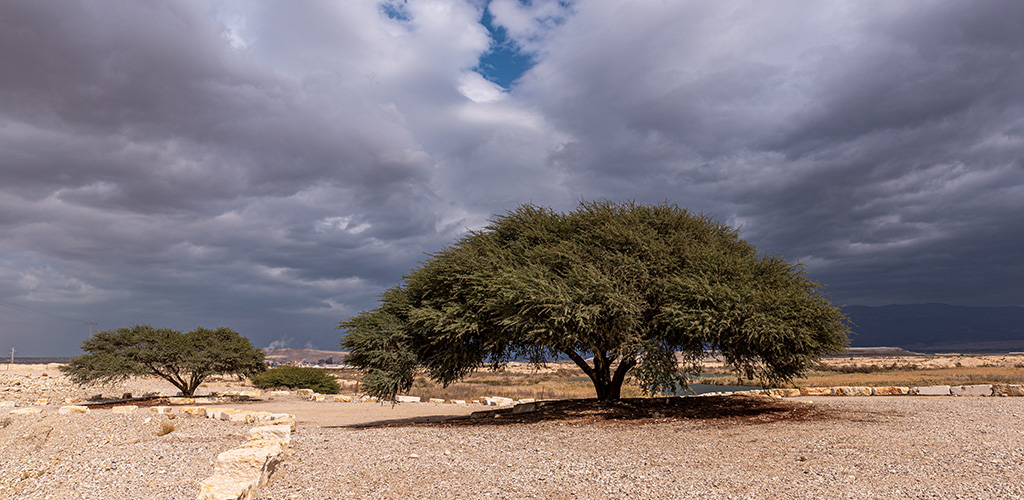 מלחת סדום. (Barbarajo/Shutterstock)