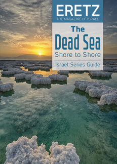 Dead Sea Shore to Shore Guide
