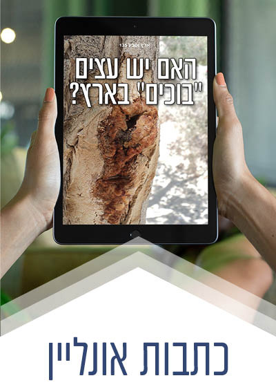 כתבות אונליין