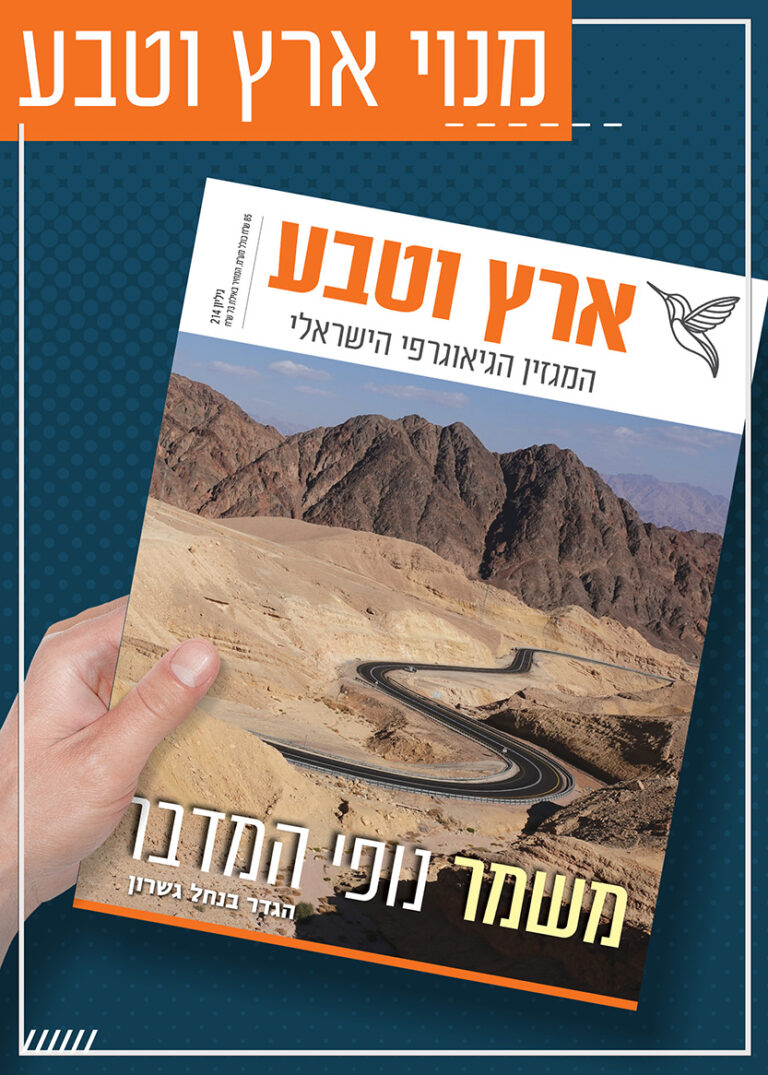 מנוי ארץ וטבע