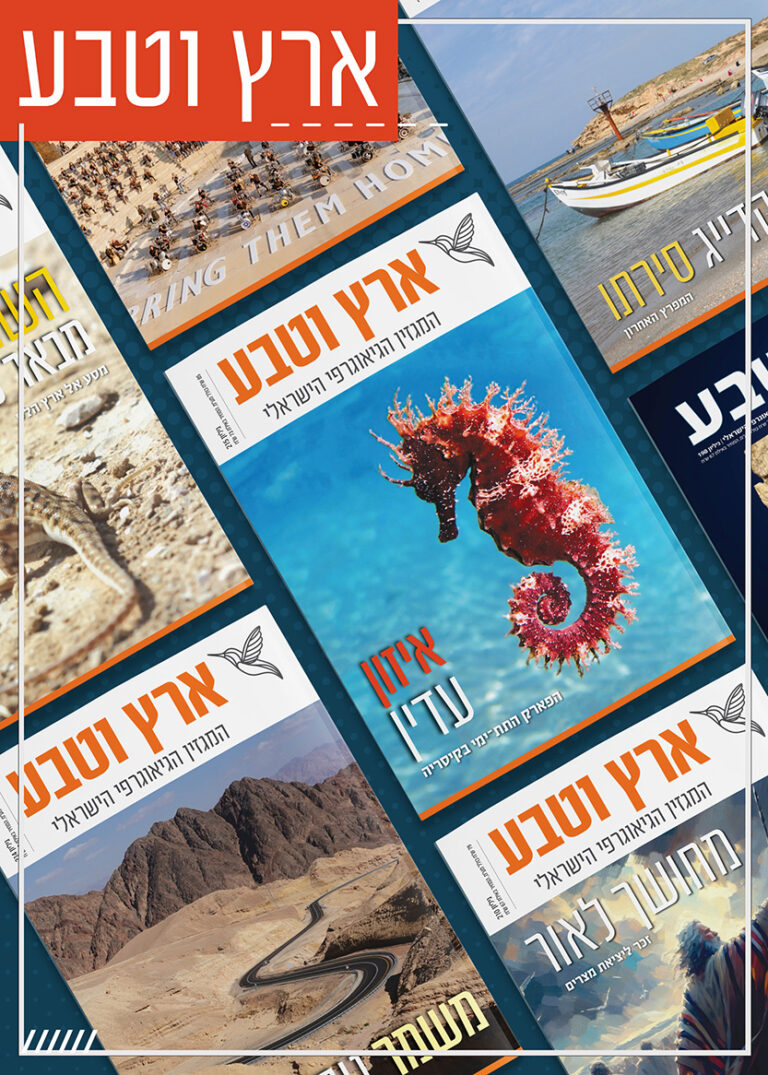 ארץ וטבע גיליונות קודמים