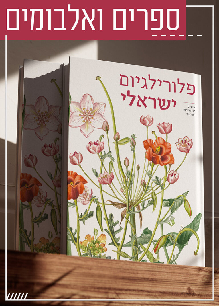 ספרים ואלבומים