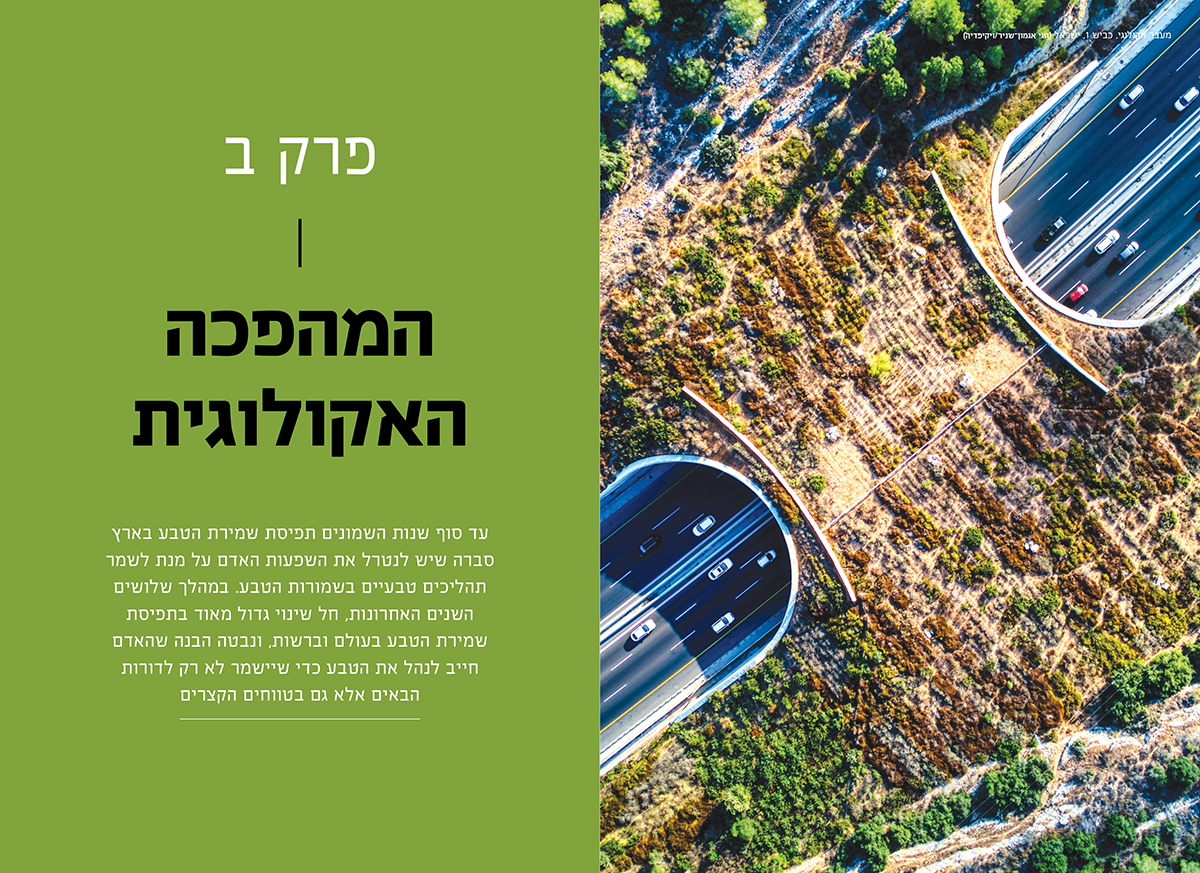 מנגינת האדמה: שישים שנות שמירת טבע, מורשת ונוף – תמונה 6